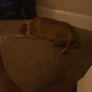 Meet your Posher, Jonathon